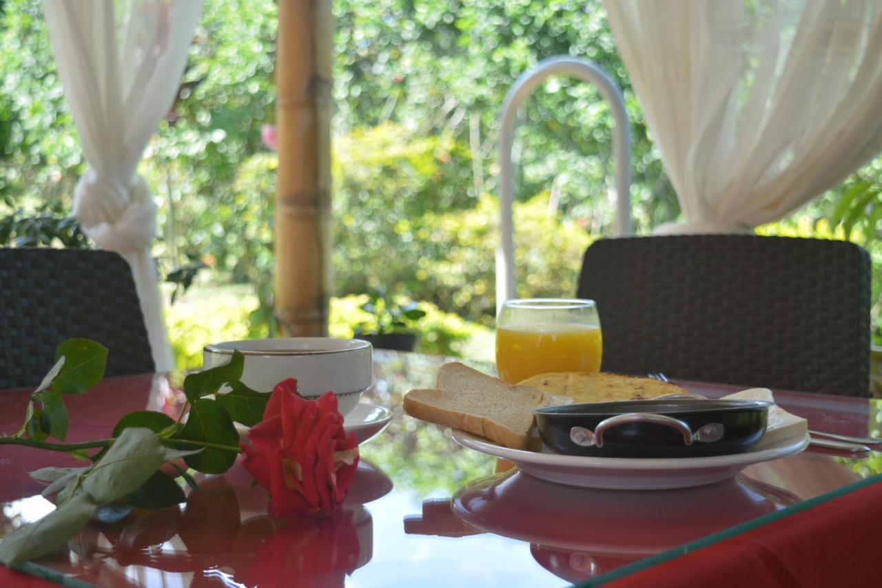 Campestre Sueno Del Abuelo